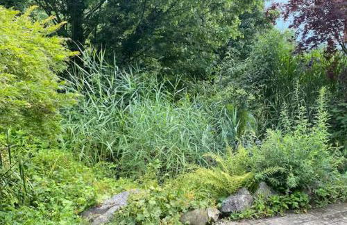 Mojos Bodenseetraum - Photo 27