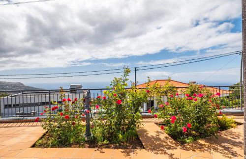 Linda Paisagem - Foto 40