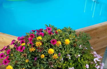 Ferienhof Leuner - Foto 7