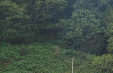 Beautiful spacious old schoolhouse with stunning sea views and beach nearby - Foto 17