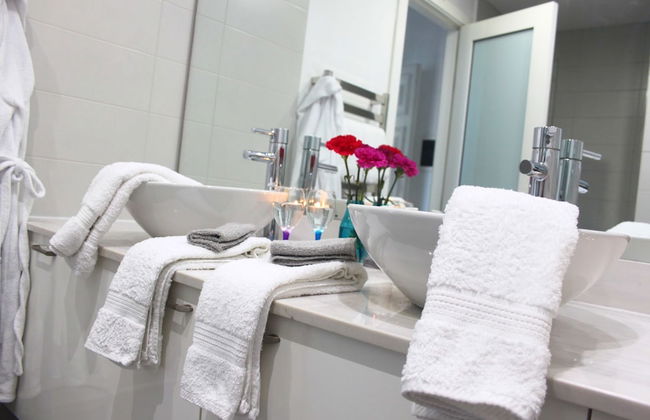 Maltese Maltese - Foto 44