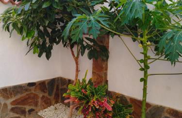 Meloneras Hills Private Villa - Foto 48