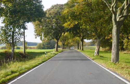 Frühlingserwachen im Haus Wassermann - Foto 45