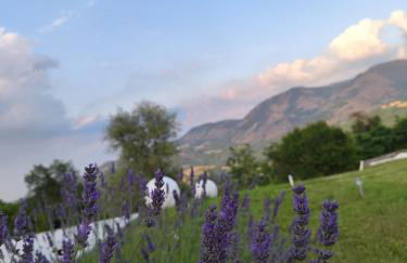 Il Torrione del Trebbia - Foto 38