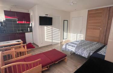 STUDIO 50m de gare de st-louis - Photo 8