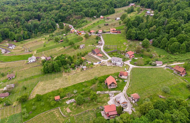Vineyard Homestead Vrtin - Foto 38