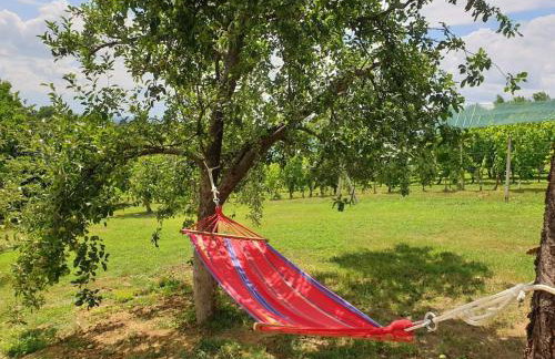 Kuća za odmor Villa Cesarica - Zagreb - Foto 28