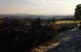 O Recanto do Sobreiro - Foto 11