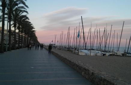 Passeig Maritim Apartment - Photo 64