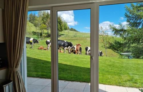 Ferienwohnung Schwarzwald-Alpenblick - Foto 45