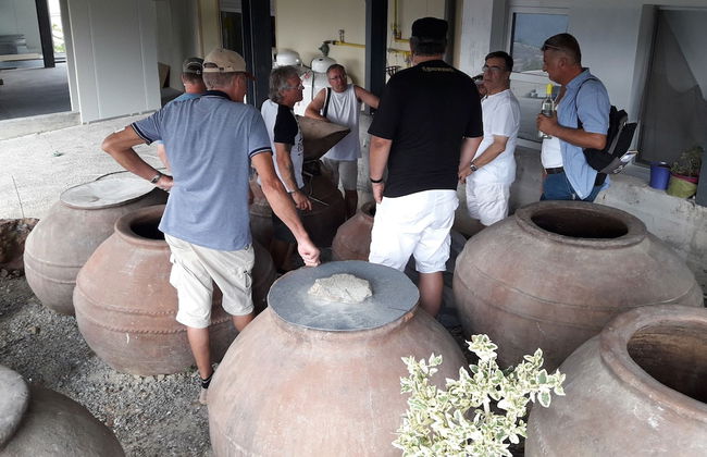 Tzionis Petroktisto Holiday Stonehouse - Photo 65