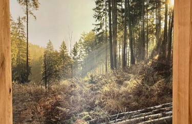 Ferienhaus Fichtenhütte - Foto 34