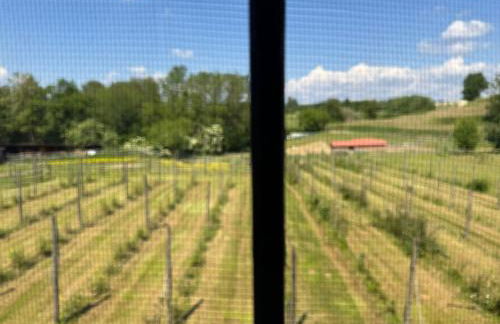 Agriturismo Brusignone - Foto 49