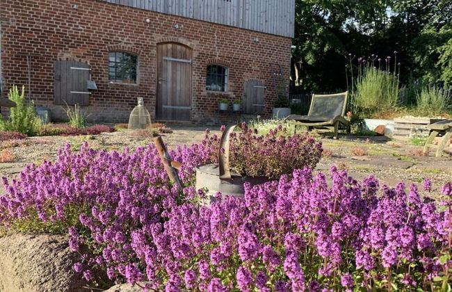 Holiday Apartment Sternhoh - Photo 16