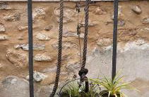 La Madre Abadesa - Foto 15