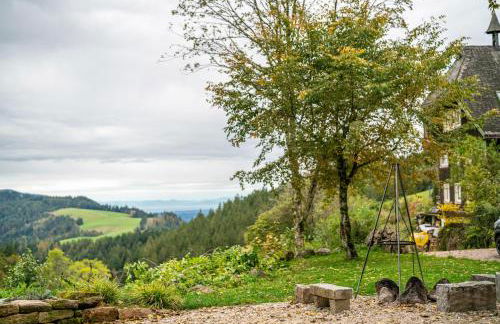 Schwarzwald Chalet - Karlshütte - Foto 32