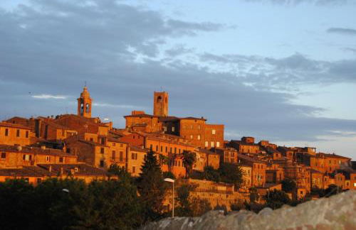 Il gelsomino del Perugino - Photo 69