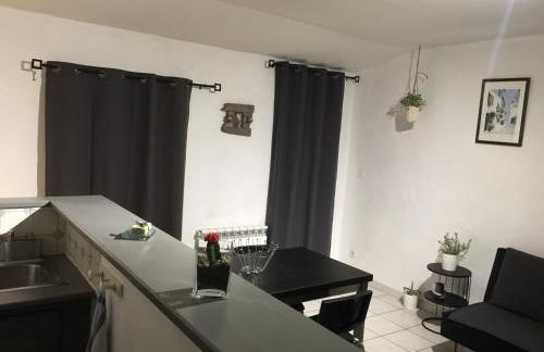 T2 avec TERRASSE, CLIM , box fibre - Foto 7