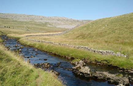 Brook Cottage Askrigg - Photo 44