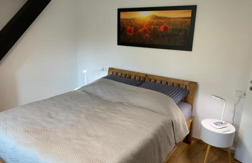 Gala Apartment am Kurpark - Foto 8