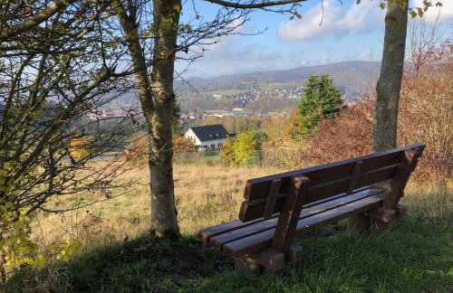 Schön Hier - im Harz - Foto 41