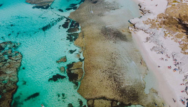 Seaplane Transport to Rottnest Island