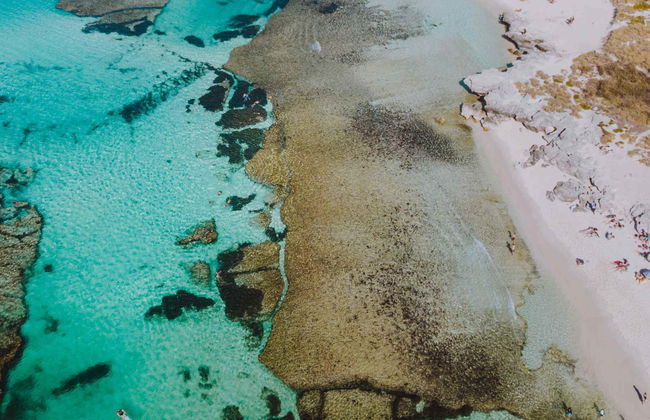 Seaplane Transport to Rottnest Island - Photo 5