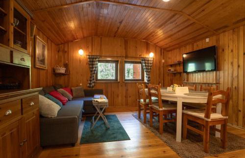 Między Sosnami - Foto 6