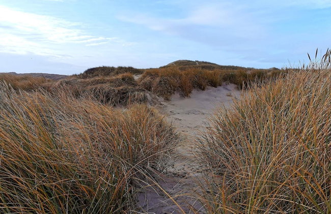 4 Star Holiday Home in Hemmet - Foto 6