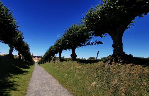 Ostseeseele - Foto 29