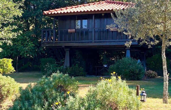 Self Catering Quinta Lamosa - Responsible Tourism for 2 People - Foto 42