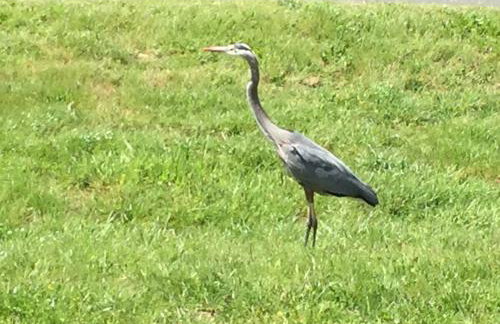 Sweet Creek - Photo 39