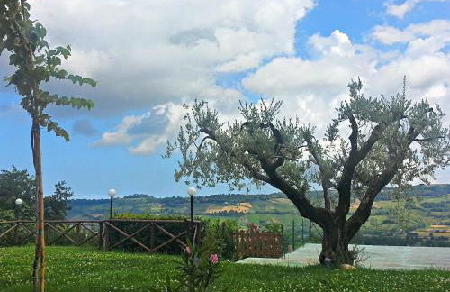 Agriturismo MonteMaggio - Foto 17