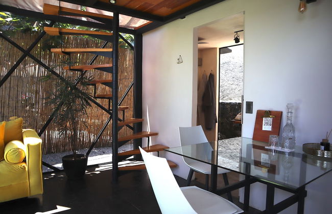 Bosque Geométrico - Foto 46