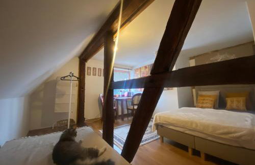 Feel-Harmonia w Nowym Kawkowie - Foto 6