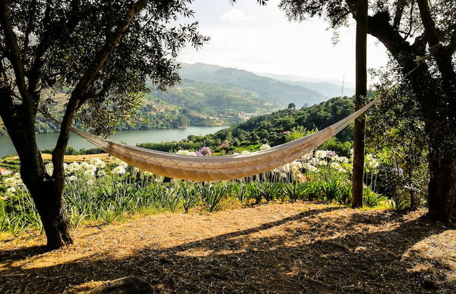 Casa da Mouta - Douro Valley - Foto 15