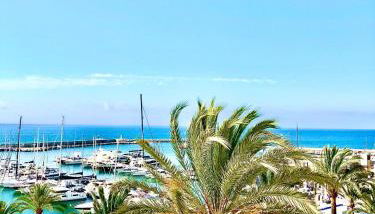 Puerto Paraiso - Photo 1