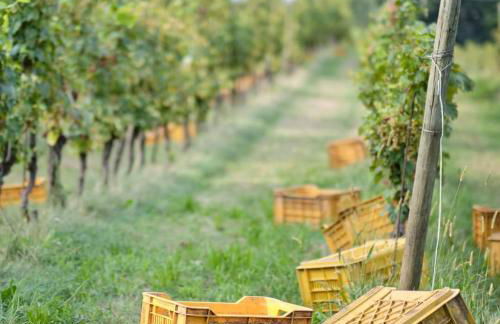 Villetta Il Faro sul Mare - Photo 70