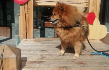 Tana delle Marmotte - Foto 26