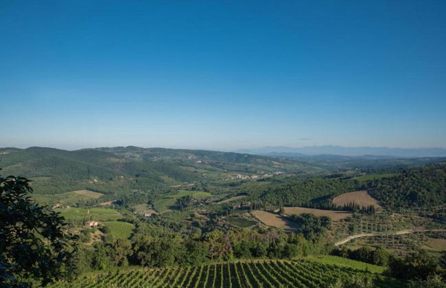 A Vineyard Apartment Retreat - Foto 45