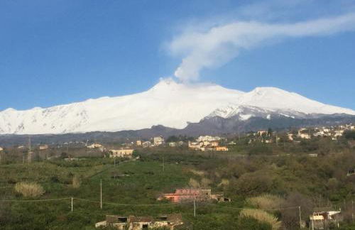 zagare dell'etna - Foto 13