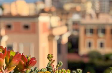 Cioccis Boutique Apartment - Foto 15