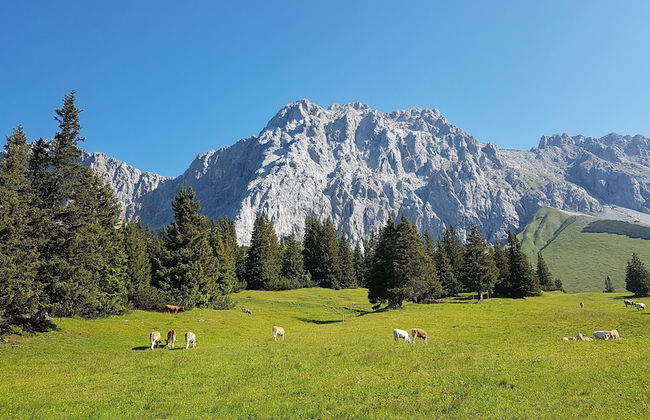 Villa Alpenpanorama - Foto 46