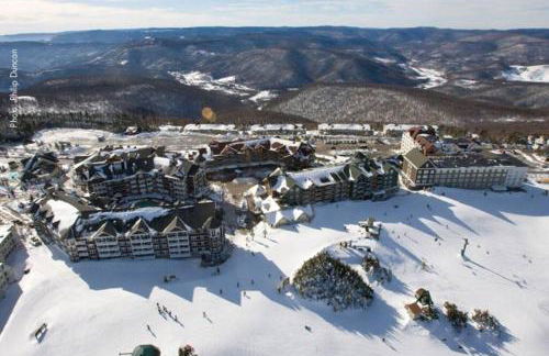 Snowshoe Mountain Studio! Renovated! - Foto 43