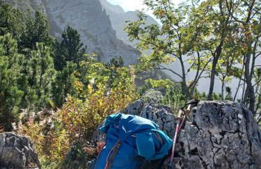 Ferien beim Baur - Foto 32