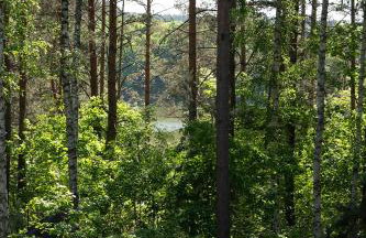 Szklany Dom nad Łąkami - Foto 7