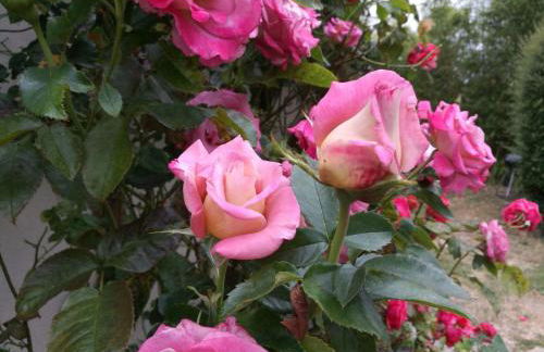 Holiday Home Fachwerkhaus La Longère Escapade Normande by Interhome - Photo 30