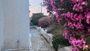 Pyrgaki hideway - Foto 4