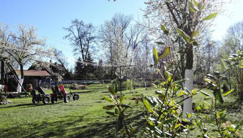 Holiday Home Stepniczka - Foto 4, Garden