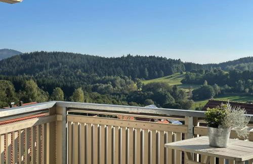 Haus Paradies Superior FEWO`S Loft, Terrasse, private Sauna, aktiv Card, Sankt Englmar - Foto 51